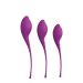 Vagina Kegels Trainer Set - Paars